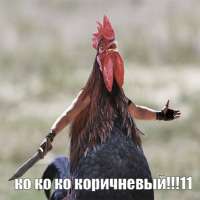 питушок.jpeg