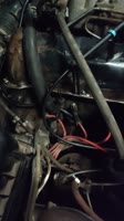 video2025-05-2918-41-27.mp4