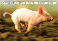 поспiшае.png