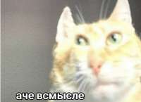 а че всмысле.jpg