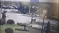 7201.mp4