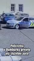 1701403154528.mp4