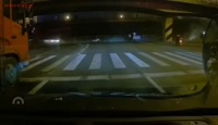 1595925177069.webm