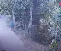 1689932406440.mp4