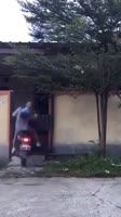 1651108685114.mp4