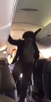 1693264196443.mp4