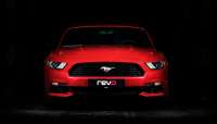 mustang-header.png