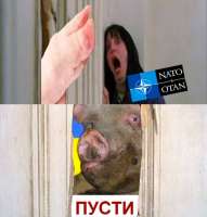 1750186840667.jpeg