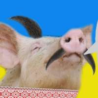 17244201237150.webp
