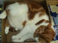 DSC00284.JPG