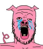 pigger.jpg