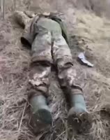17485546672680.mp4