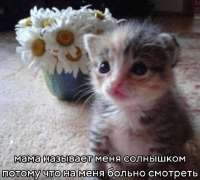 IMG20250509224345373.jpg