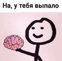 мозги.jpg