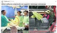 кабачек.jpg