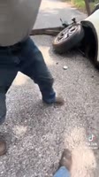 1701669099015.webm