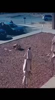 17502579107170.mp4