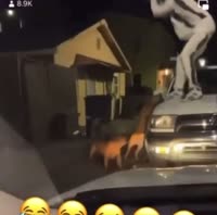 17502578141410.mp4