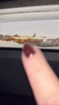 IMG0765.MOV