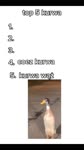17226240572445403553ff1f5d11080x1920.mp4