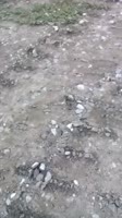 неудачник1.webm