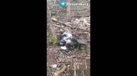 17425385872061.mp4