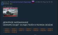 IMG9161.jpeg
