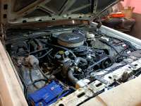 IMG20230604225035345.jpg