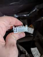 PXL20250404125612906.JPG