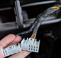 PXL20250404125638667 (1).JPG
