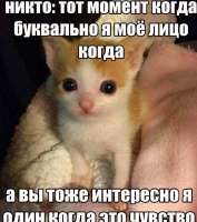1750875341702.jpg