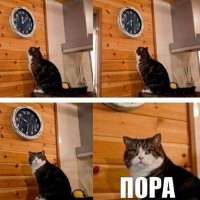 GingvJOsKitO9Oy6TfaRQvHuwdBUdN70JSqZUx94SWPYr0nXOI3w7L6WejfsY88EygXvtVOYelPk9yPZ6aodt5LNYWy2BqwlFDu4bbkSCMKJaT4pvCGuaH1ZMkltTzEk.jpeg.jpg