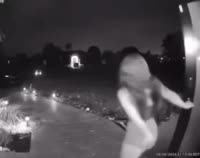 VID20241012224724019.mp4