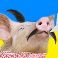 17129046067880.png