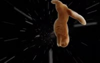 SHOOTING STARS.mp4