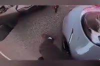 1731225621698.mp4