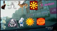 14302651427303.webm