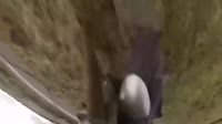 14422285165701.webm