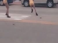 14467674073571.webm