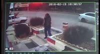 15233843667310.mp4