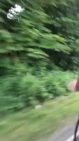 16052133277690.webm