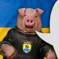 порк2.jpeg