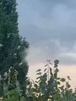 original (1).mp4