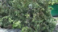 5c930f46-e81c-43df-b3bc-c82800694a24.mov