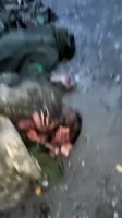 17516853530040.mp4