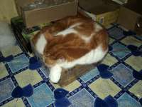 DSC00285.JPG