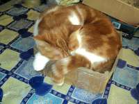 DSC00287.JPG