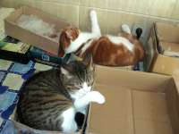 DSC00289.JPG