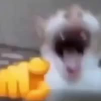 hahaha.mp4