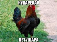 Снимок.JPG